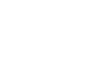 Instinct Dog Behavior and Training